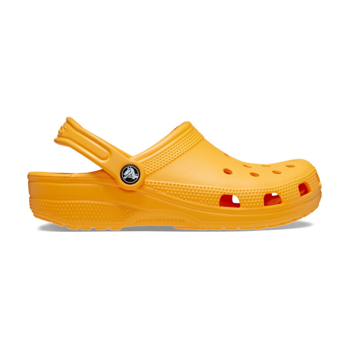 Classic Clog