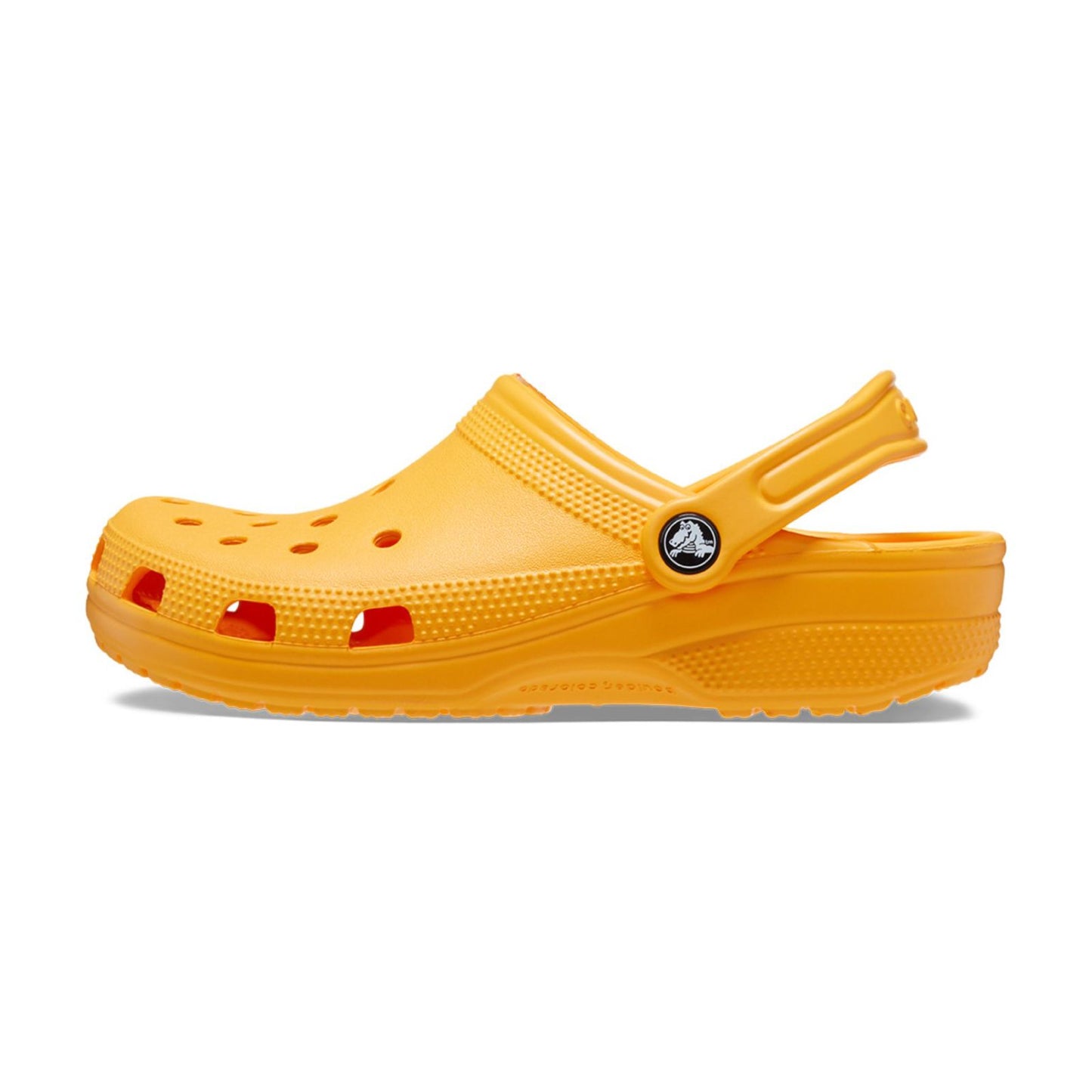 Classic Clog