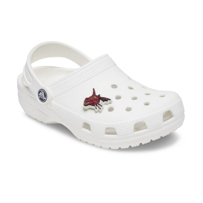 Jibbitz Shrek Dragon Unisex