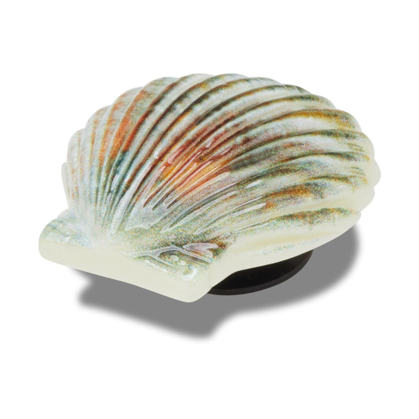 Jibbitz Natural Seashell Unisex Multi