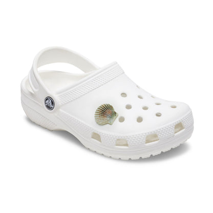 Jibbitz Natural Seashell Unisex Multi