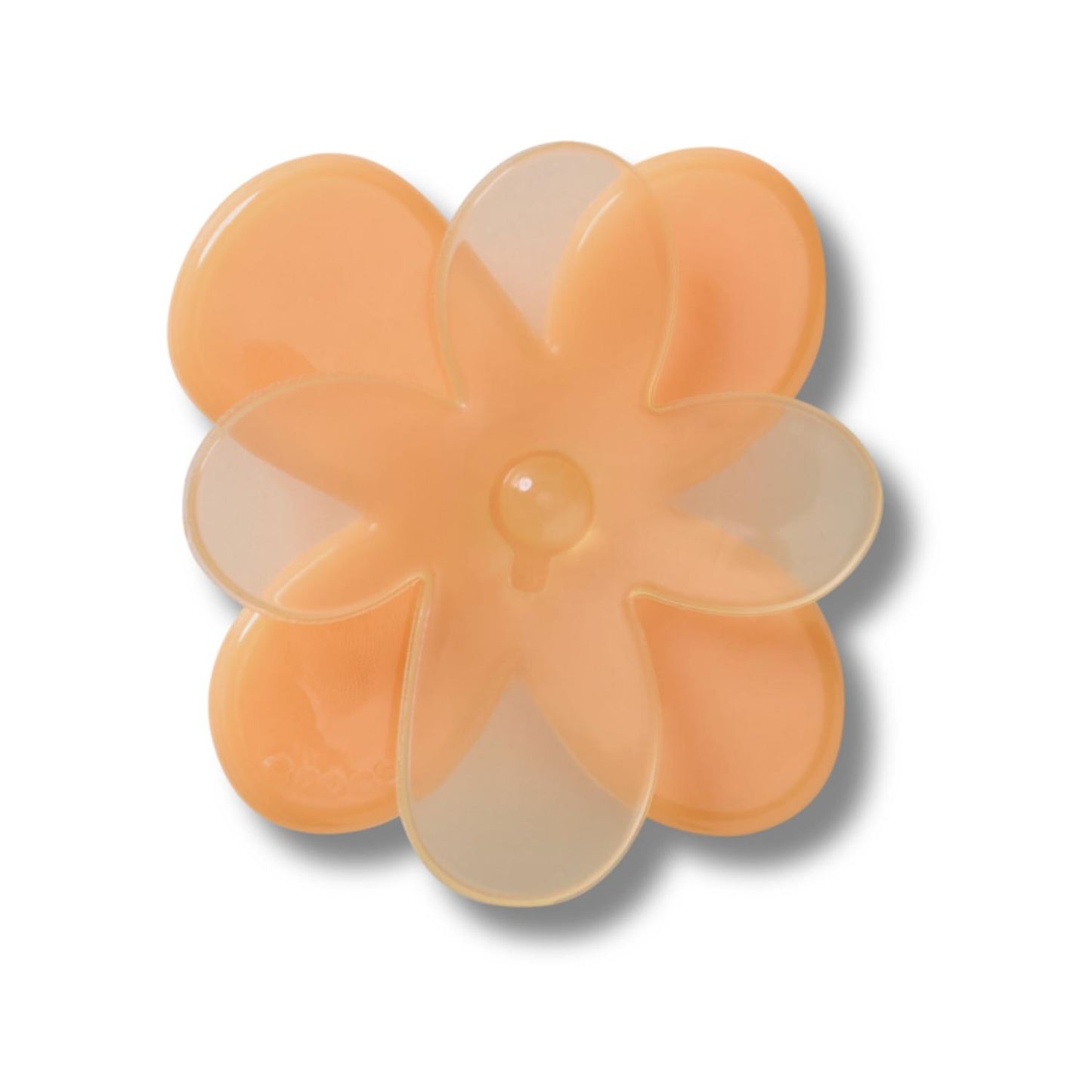 Blooming Orange Flower