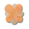 Blooming Orange Flower