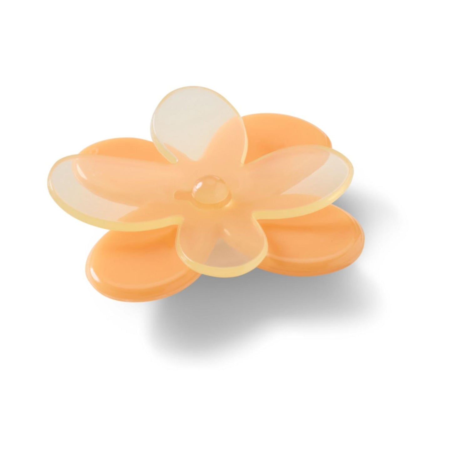 Blooming Orange Flower