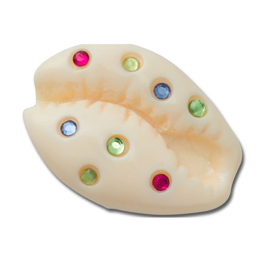 Gem Puka Shell Unisex Multi Jibbitz